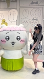 chiko