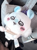 ひな