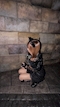 プロフィール写真3・あいか🐺オオカミちゃんカフェ神戸三宮店🐺|オオカミちゃんカフェ神戸三宮店 - 三宮のコンカフェ