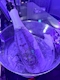 プロフィール写真3・ちか｜CAFE&BAR VELLY・ベリー - 新橋のガールズバー