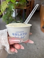 新着ブログ 🧊