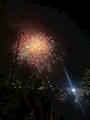新着ブログ 花火🎆