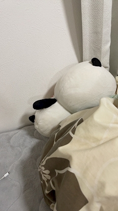 みか🐼