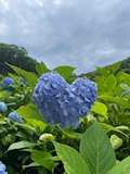 さとみ