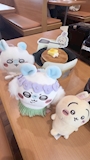 chiko
