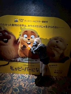 プロフィール写真4・ことりん🐤｜Girls Bar AmuSe・アミューズ - 市原・八幡宿のガールズバー