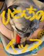 chiko