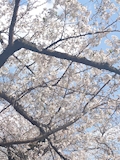 えみ