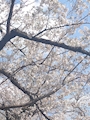 えみ