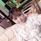 プロフィール写真3・ひまり|ポチャリス - 東武宇都宮のパブ/スナック