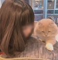 ゆき