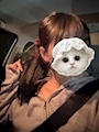 モカ