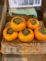新着ブログ さむ!