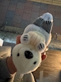 chiko