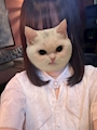 おもち