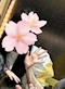 プロフィール写真1・さき｜花魁Girl's Bar きみじま屋 - 上野のガールズバー