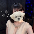 しおり