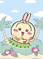 新着ブログ  26日のありがとうお礼💌