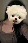 りん