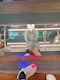 プロフィール写真8・🍒💕ゆな 3年2組薬研堀学園🍒💕︎🍌🍣🍙🍨|3年2組 薬研堀学園・サンネンニクミヤゲンボリガクエン - 広島市(流川)のガールズバー