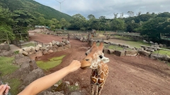 みおん