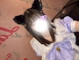 せな