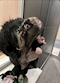 プロフィール写真1・あやね|Bar リトル - 西田辺のガールズバー