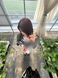 あいか