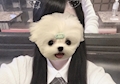もな