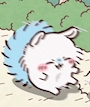 のどか