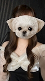 のあ