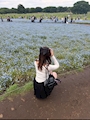 かえで