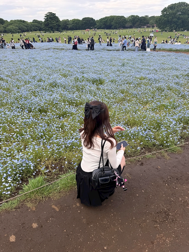 かえで