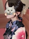 プロフィール写真2・ゆの🐺オオカミちゃんカフェ天満店🐺|オオカミちゃんカフェ天満店 - 天満のガールズバー