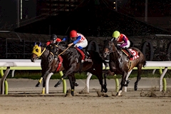 ｽｲ「🏇」