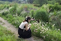 まな