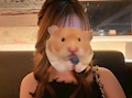 女の子の名前