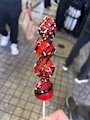 新着ブログ おひさしぶりでつ
