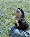 プロフィール写真3・あきら|WIT・ウィット - 浅草・田原町のガールズバー