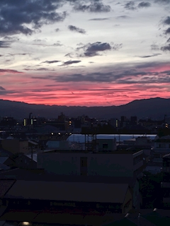 かなこ