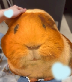 さな