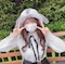 プロフィール写真5・みれい|CLUB Dione・ディオーネ - 水道橋のキャバクラ
