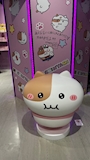 chiko