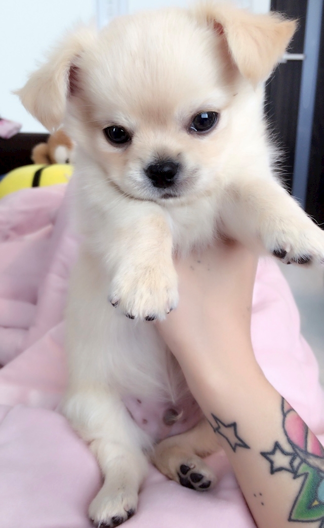 プロフィール写真6・みゆ｜