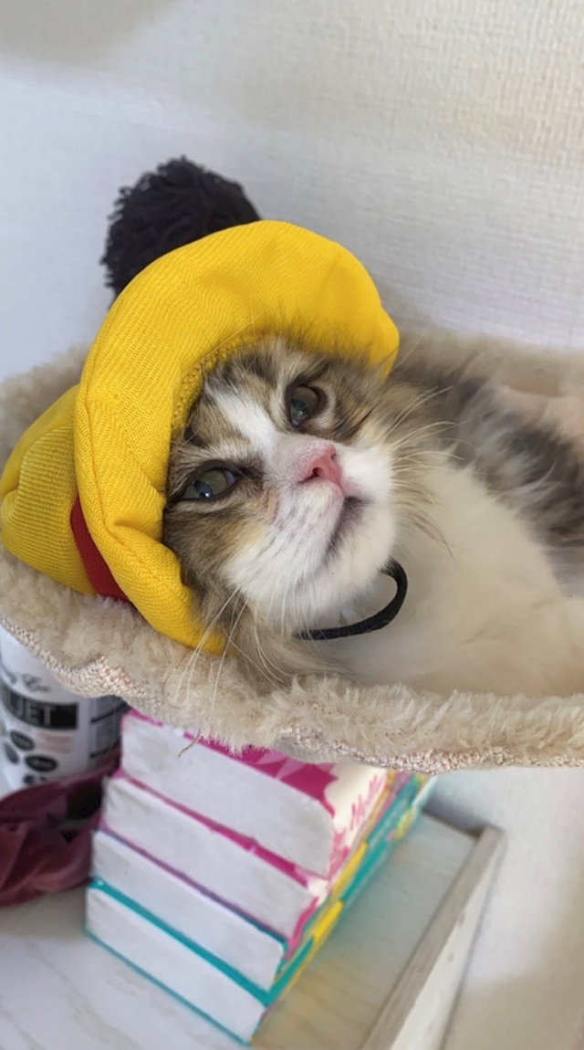 プロフィール写真2・みゆ｜