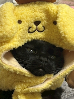 櫻木 たえ