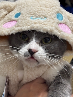 櫻木 たえ