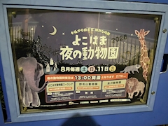 ひめか
