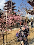 まや