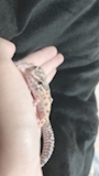 新着ブログ 可愛い家族紹介です�